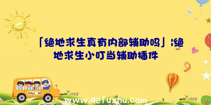 「绝地求生真有内部辅助吗」|绝地求生小叮当辅助插件